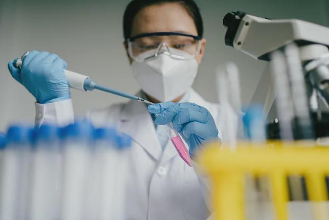 盛鸿国际(中国游) - 官方网站