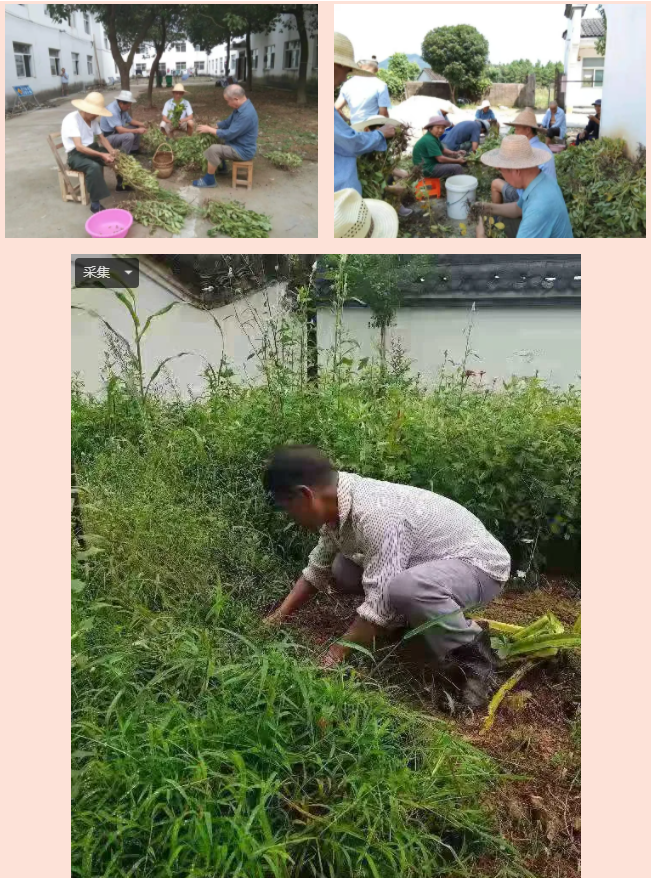 盛鸿国际(中国游) - 官方网站