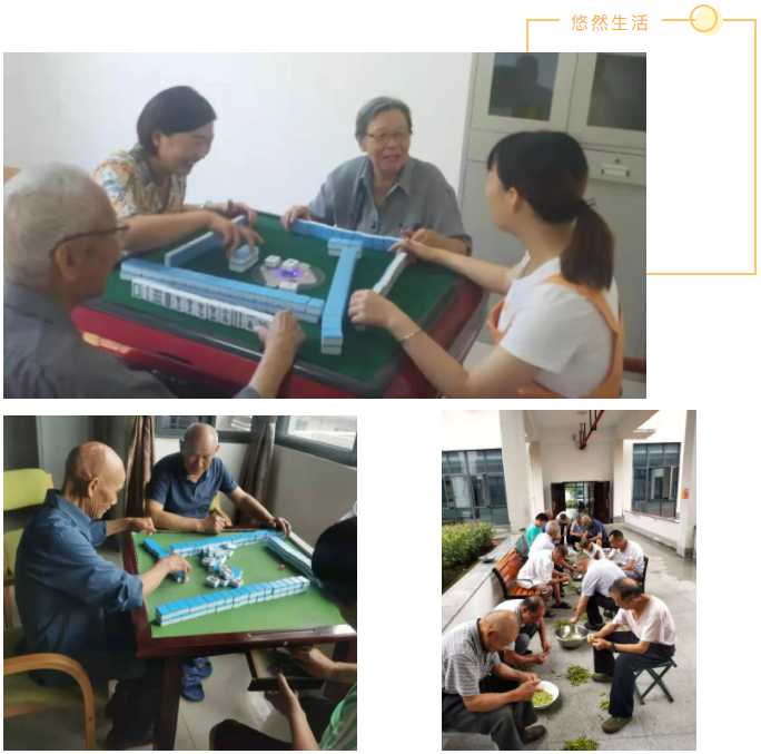 盛鸿国际(中国游) - 官方网站