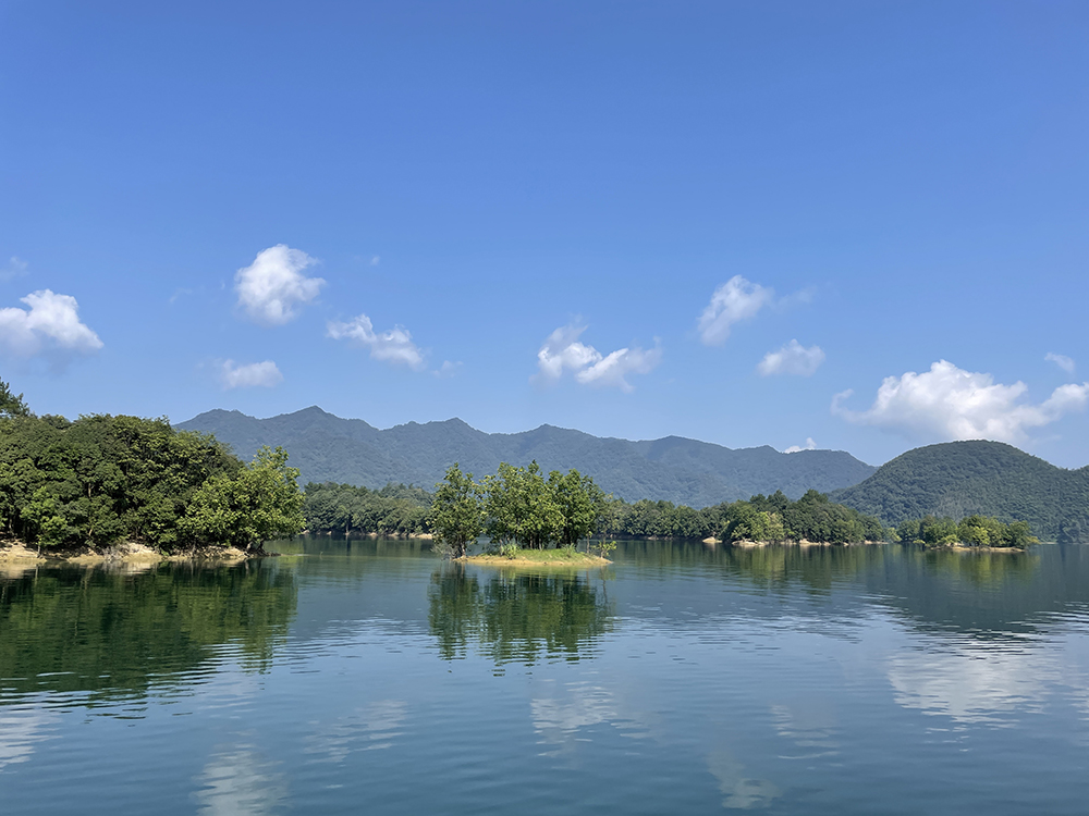 盛鸿国际(中国游) - 官方网站