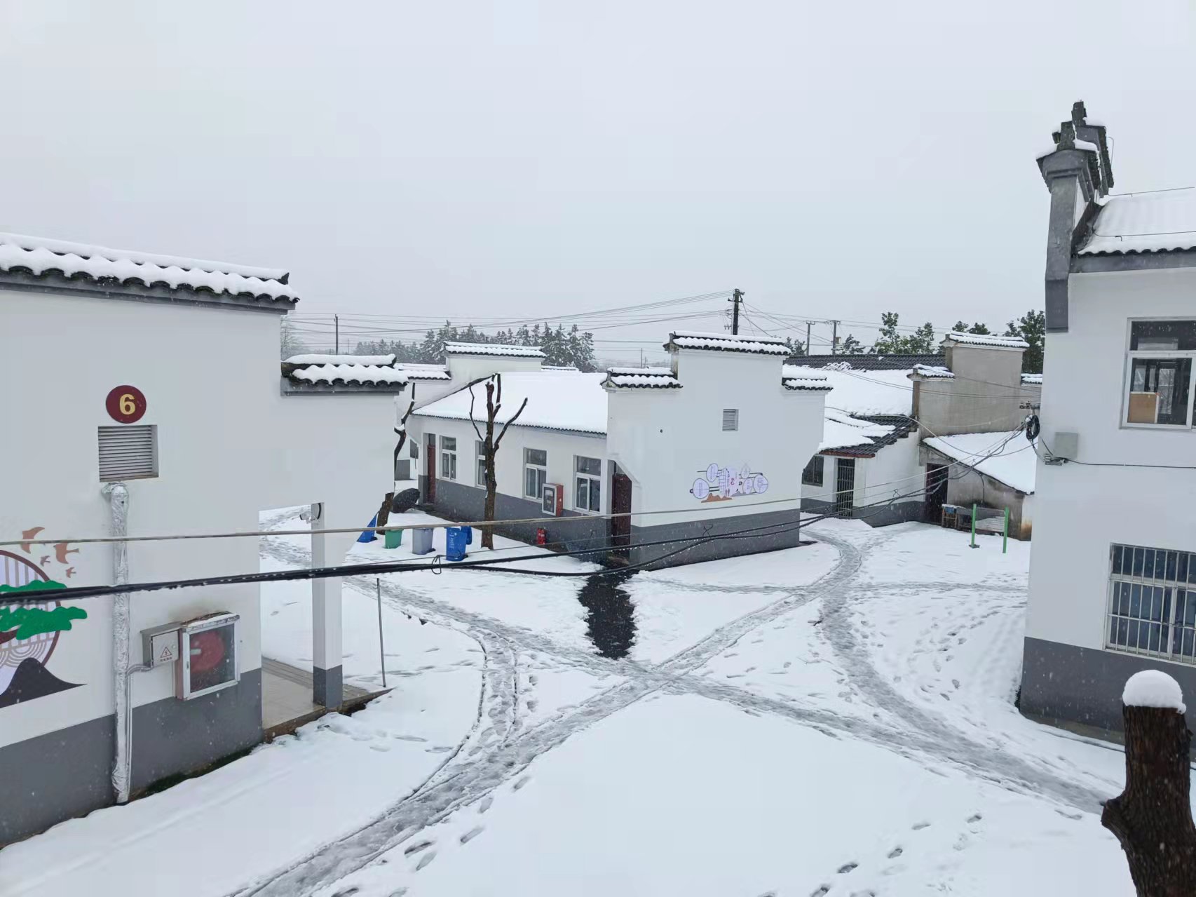 盛鸿国际(中国游) - 官方网站