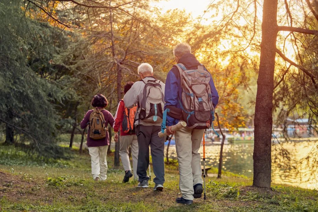 盛鸿国际(中国游) - 官方网站
