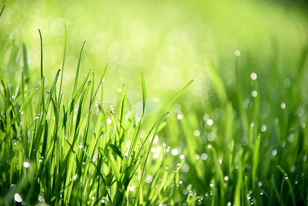 盛鸿国际(中国游) - 官方网站