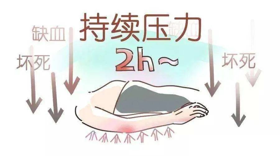 盛鸿国际(中国游) - 官方网站